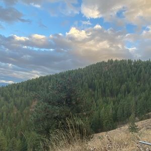 Meet your Posher, Odin